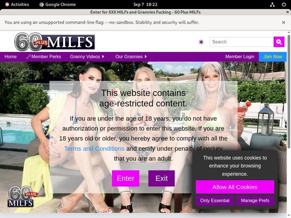 60plusmilfs.com Pregnant