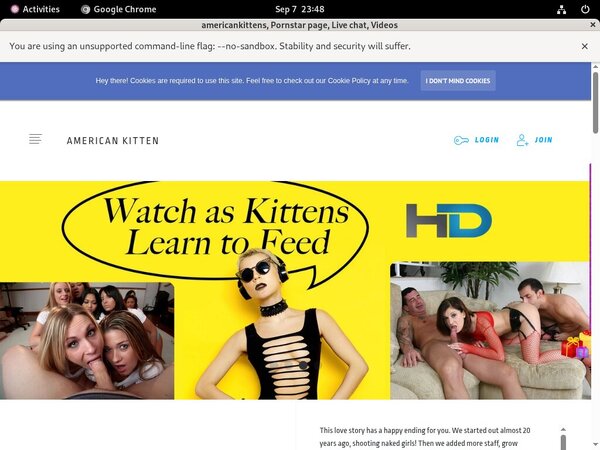 Americankitten.com Account Discount