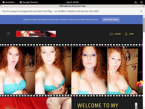 AnnieBody Accounts Working