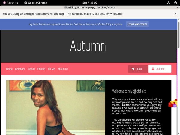 BittyKitty Login Account