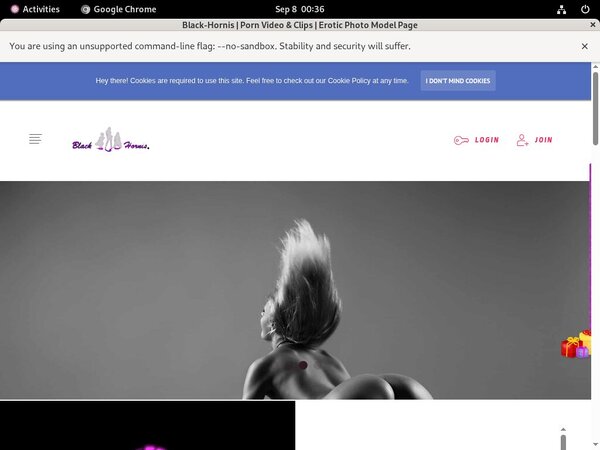 Black-hornis.net Free Premium Accounts Black-hornis.net Free Premium Accounts