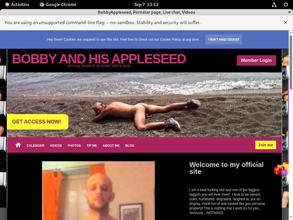 Bobbyappleseed.modelcentro.com Site Passwords