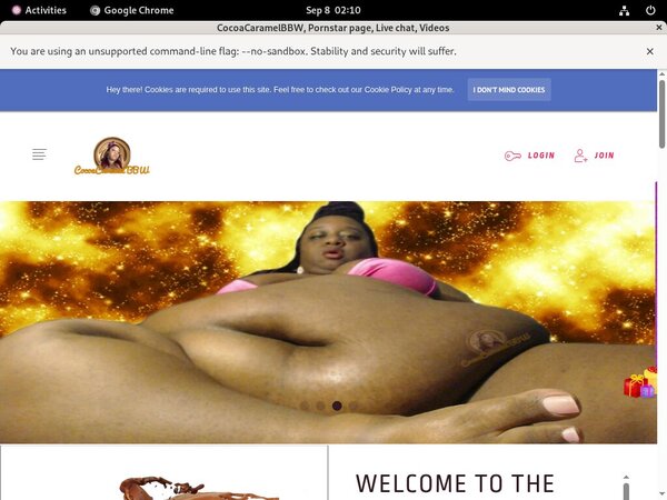 Cocoacaramelbbw.com Allow Paypal