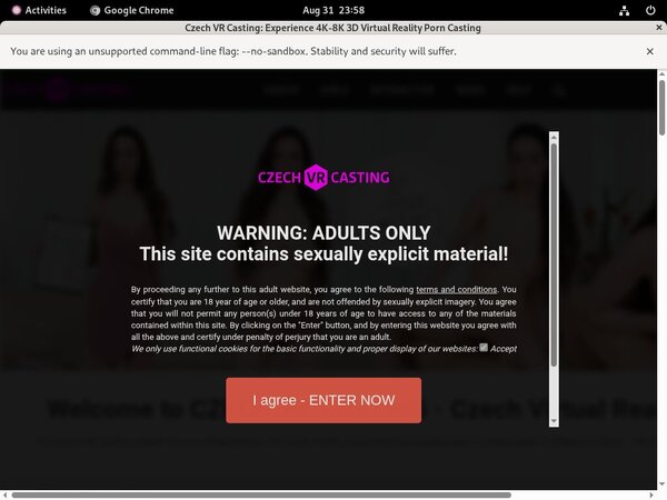 Czechvrcasting Limited Deal