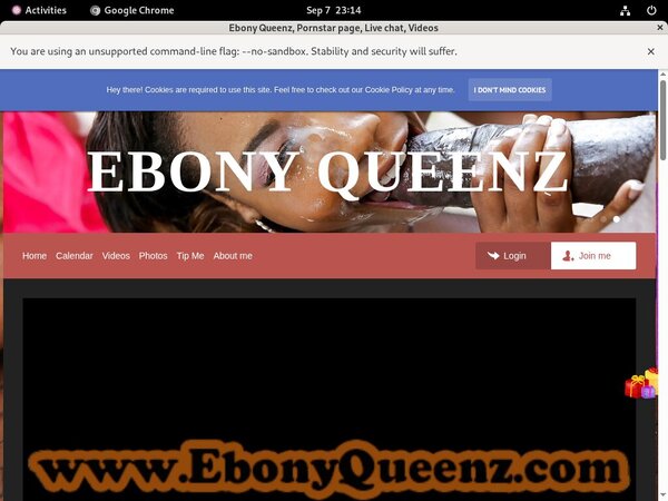 Ebony Queenz Discount (SAVE 63%)