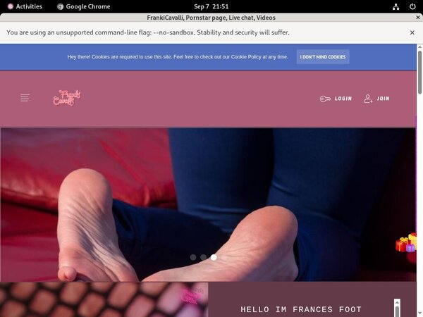 Frances.modelcentro.com Premium Discount
