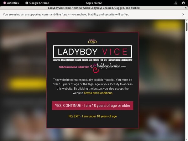 Free Account Ladyboy Vice