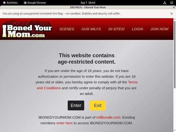 Free Ibonedyourmom.com Premium Passwords