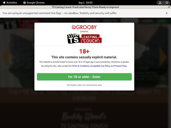 Free Ts-castingcouch.com Discounts