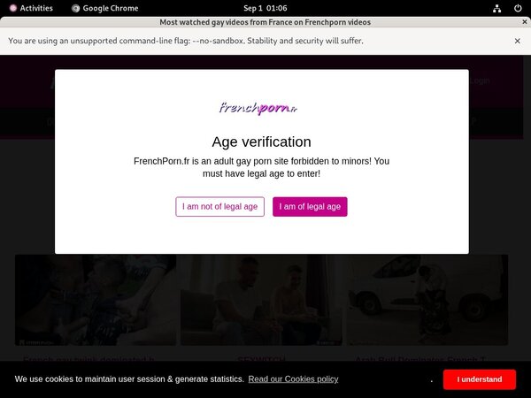French Porn Gay Free Membership