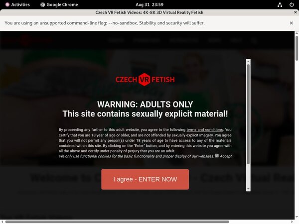 Get Czech VR Fetish Free Logins