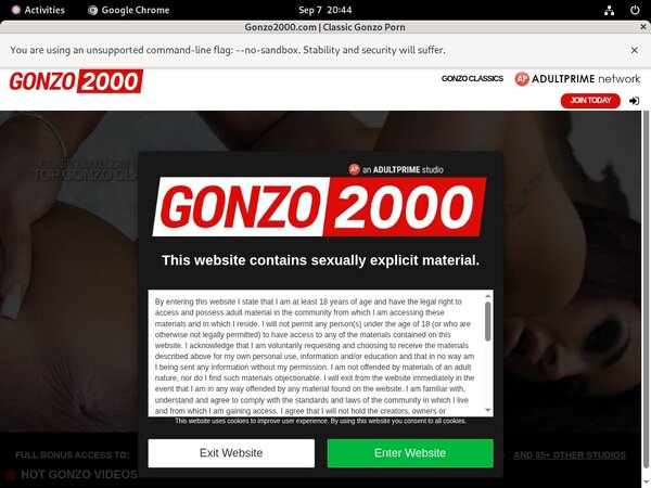 Gonzo 2000 Hd Videos