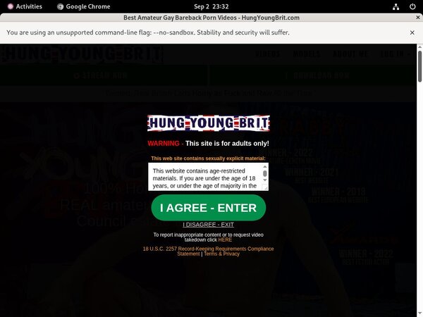 Hungyoungbrit Clips4sale
