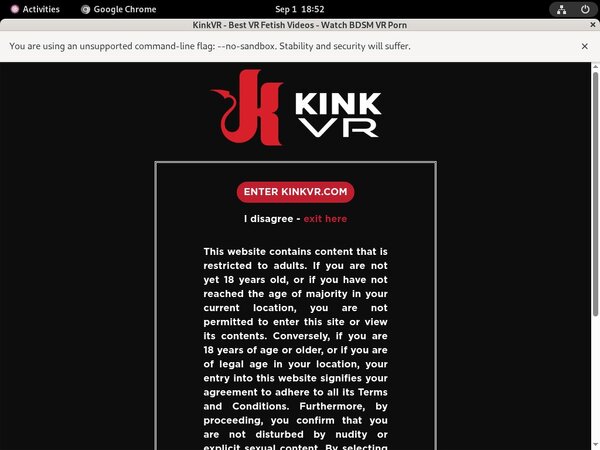 Kink VR Discount Trial Link