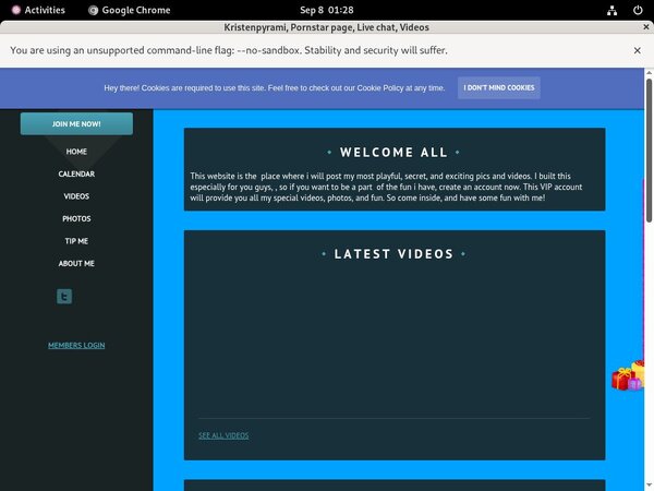 Kristenpyrami Mobile Passwords