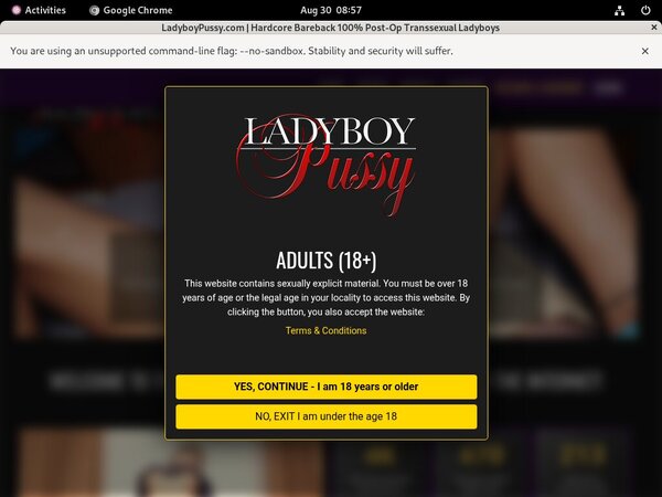 Ladyboypussy Acc