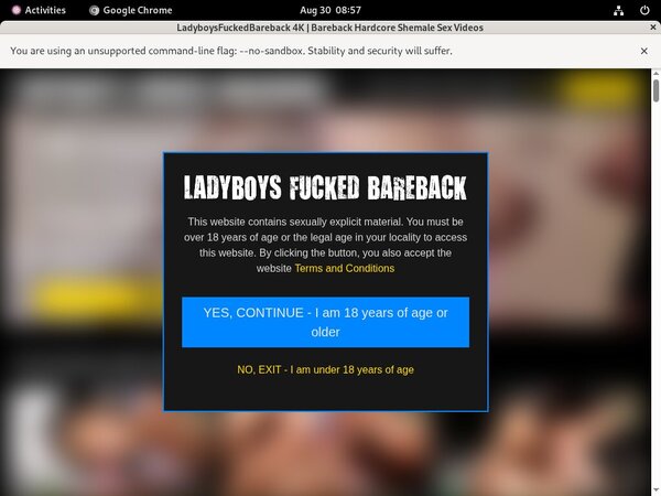 Ladyboysfuckedbareback.com 2017