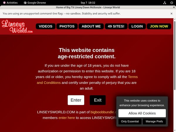 Linseys World Pornstar