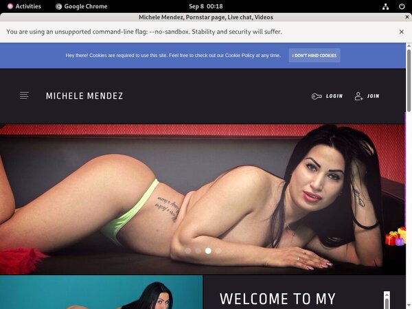 Michele Mendez Money