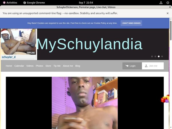 Myschuylandia.com Co