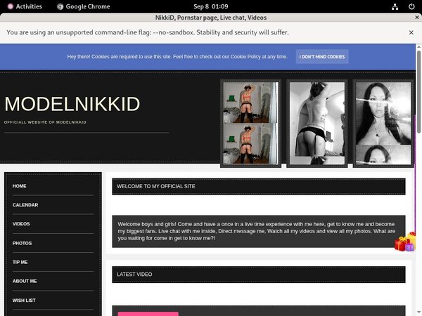 NikkiD Chat