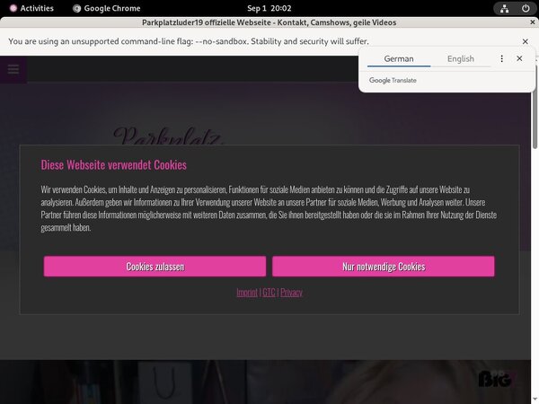 Parkplatzluder19.com With Visa