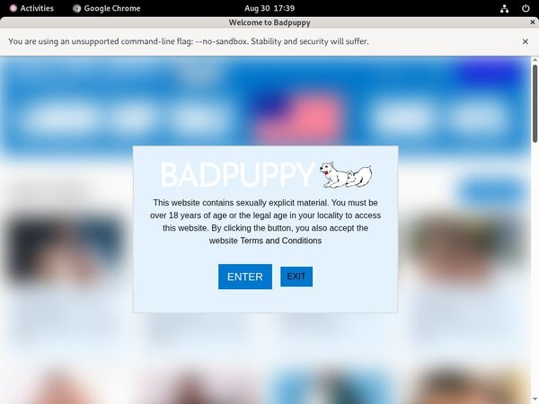 Paypal Com Badpuppy