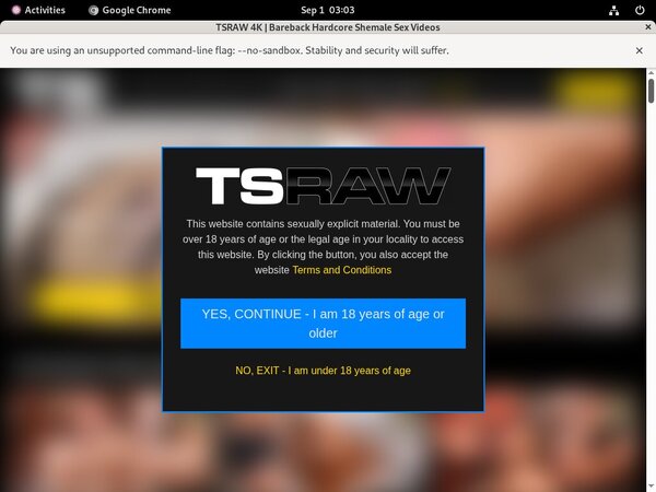 Raw TS Sex