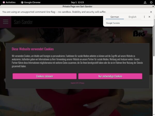 Sari Sander Full Videos Sari Sander Full Videos