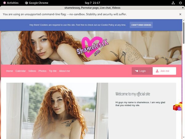 Shamelessxy Porn Review