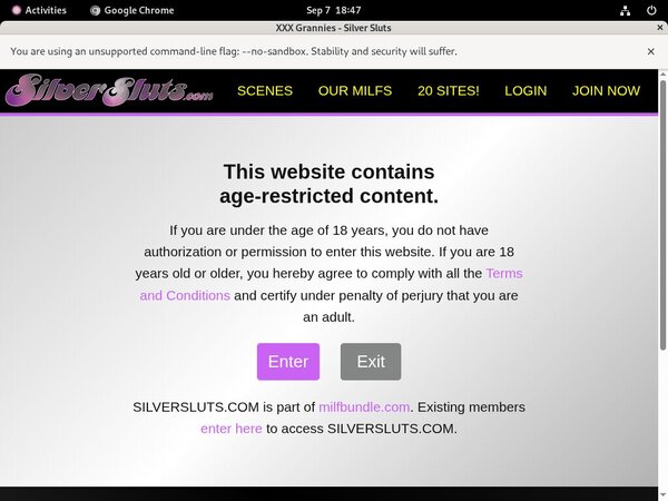 Silversluts.com Worth It?