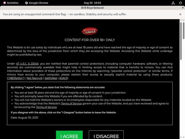 Str8 Boyz Seduced Segpay Discount