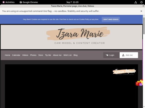 Tzara Marie Accounts Passwords