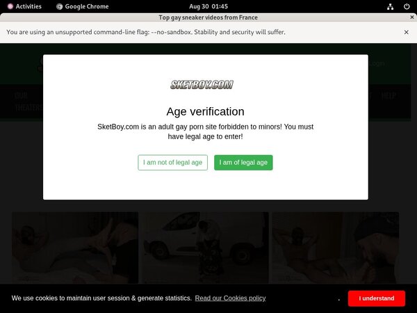 Username And Password For Sket Boy