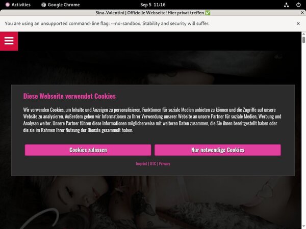 Valentini Sina Access Valentini Sina Access