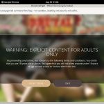 Brutalcatfight.com Gay