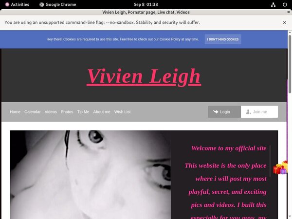 Vivienleighandme.modelcentro.com Webcams