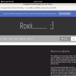 FoxxyRoxii Paypal Offer FoxxyRoxii Paypal Offer
