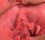 Gape My Pussy Free Entry